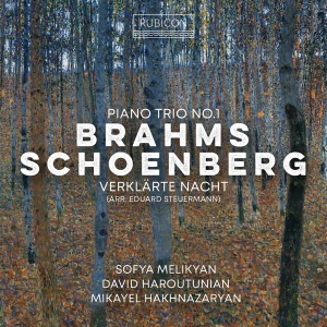 Sofya Melikyan & David Haroutunian & Mikayel Hakhnazaryan - Brahms: Piano Trio No. 1 - Schoenberg: Verklärte Nacht (Arr. Eduard Steuermann) in the group OTHER / Övrigt /  at Bengans Skivbutik AB (5569609)