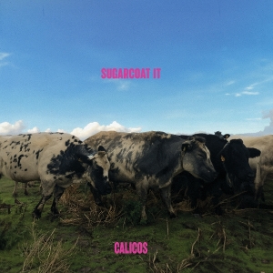 Calicos - Sugarcoat It in the group VINYL / Pop-Rock at Bengans Skivbutik AB (5570060)