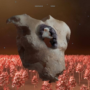 Soap&Skin - Torso in the group VINYL / Pop-Rock at Bengans Skivbutik AB (5570942)