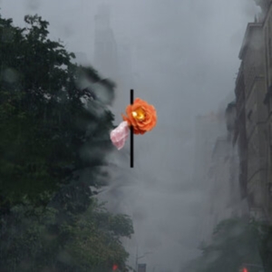 Rosenbaum August - Songs People Together (Clear Vinyl) in the group OTHER / Övrigt /  at Bengans Skivbutik AB (5571085)