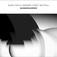 Bang / Duch / Honoré / Toop / Waste - Wunderkammer in the group OUR PICKS / Friday Releases / Friday December 13th 2024 at Bengans Skivbutik AB (5572219)