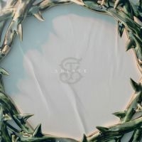 Stinky - Solace (Green Marbled Vinyl Lp) in the group VINYL at Bengans Skivbutik AB (5572497)