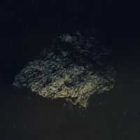 Multicast Dynamics - Lost World [Limited Indie Exclusive in the group VINYL / Pop-Rock at Bengans Skivbutik AB (5572522)