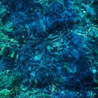 Aoba Ichiko - Luminescent Creatures in the group OUR PICKS / Friday Releases / 2025-02-28 at Bengans Skivbutik AB (5572822)