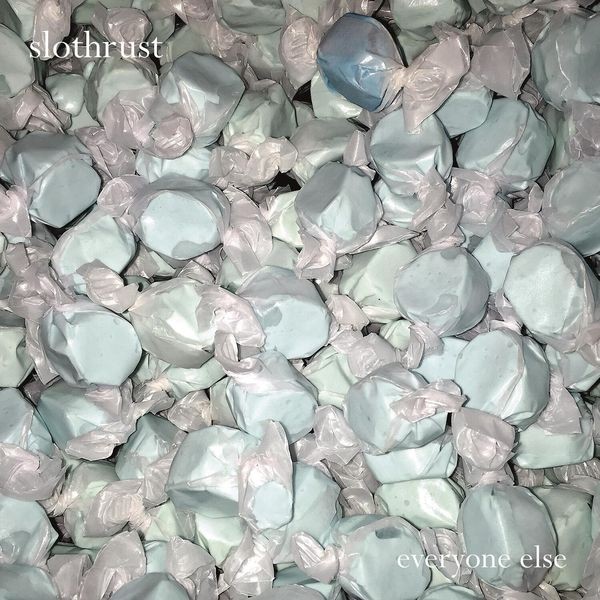 Slothrust - Everyone Else in the group VINYL / Pop-Rock at Bengans Skivbutik AB (5572979)