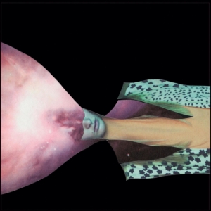 Painted Shield - Painted Shield 2 in the group CD / Pop-Rock at Bengans Skivbutik AB (5573058)