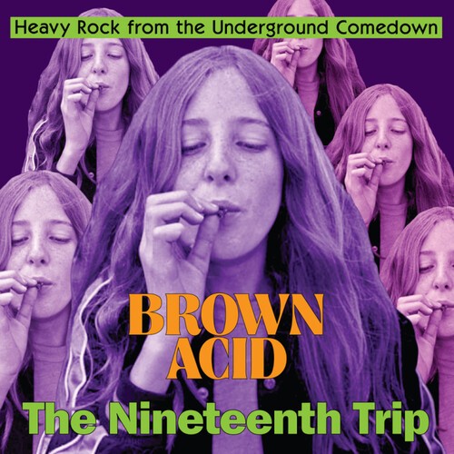 Various Artists - Brown Acid - The Nineteenth Trip in the group VINYL / Pop-Rock at Bengans Skivbutik AB (5573319)