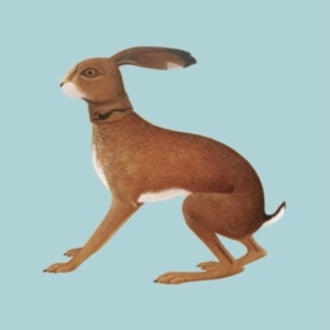 Bunyan Vashti - Lookaftering ? Expanded Edition in the group CD / Svensk Folkmusik at Bengans Skivbutik AB (5574026)