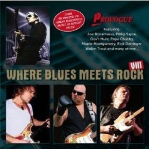 Blandade Artister - Where Blues Meets Rock Viii in the group CD / Jazz,Pop-Rock at Bengans Skivbutik AB (557438)