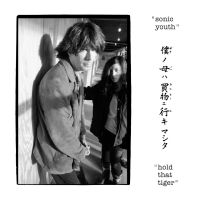 Sonic Youth - Hold That Tiger in the group VINYL / Pop-Rock at Bengans Skivbutik AB (5574757)