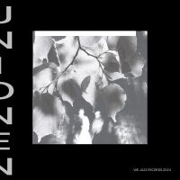 Unionen - Unionen in the group OUR PICKS / Friday Releases / 2025-01-24 at Bengans Skivbutik AB (5574777)