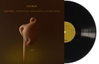 Anorok - Melt (Black Vinyl Lp) in the group VINYL / Jazz at Bengans Skivbutik AB (5575549)