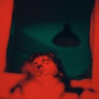 Biggs Alexander - Stay With The Horses in the group OUR PICKS / Friday Releases / 2025-03-07 at Bengans Skivbutik AB (5575826)
