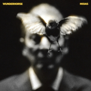 Wunderhorse - Midas in the group VINYL / Pop-Rock at Bengans Skivbutik AB (5576038)