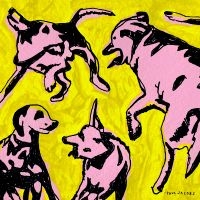 Jacobs Paul - Pink Dogs On The Green Grass in the group CD / Pop-Rock at Bengans Skivbutik AB (5576328)