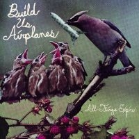 Build Us Airplanes - All Things Expire in the group OUR PICKS / Friday Releases / 2025-01-17 at Bengans Skivbutik AB (5576415)