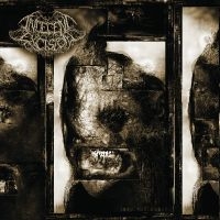 Indecent Excision - Into The Absurd in the group OUR PICKS / Friday Releases / 2025-01-17 at Bengans Skivbutik AB (5576491)