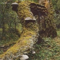 Jelinek Jan - Kosmischer Pitch (Reissue) in the group OUR PICKS / Friday Releases / 2025-01-17 at Bengans Skivbutik AB (5576768)