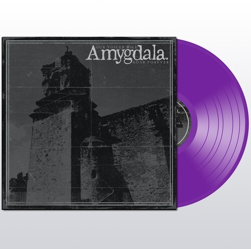 Amygdala - Our Voices Will Soar Forever in the group VINYL / Hårdrock at Bengans Skivbutik AB (5577123)