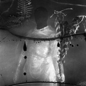 Vile Creature - Preservation Rituals (2015 - 2018) in the group OTHER / Övrigt /  at Bengans Skivbutik AB (5577169)