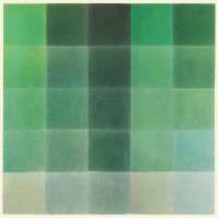 Hill Tim - Shades Of Green in the group VINYL / Pop-Rock at Bengans Skivbutik AB (5577978)