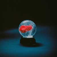 Darkside - Nothing in the group OUR PICKS / Friday Releases / 2025-02-28 at Bengans Skivbutik AB (5578069)