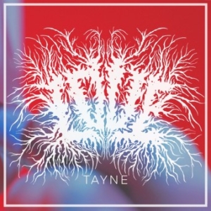 Tayne - Love in the group OUR PICKS / Friday Releases / 2025-03-07 at Bengans Skivbutik AB (5578084)