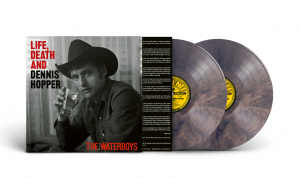 The Waterboys - Life, Death & Dennis Hopper (Psychedelic Waves Colored 2Lp) in the group VINYL / Pop-Rock at Bengans Skivbutik AB (5578185)