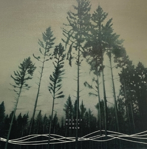 Wouter Dewit - Hold in the group OTHER / Övrigt /  at Bengans Skivbutik AB (5578241)