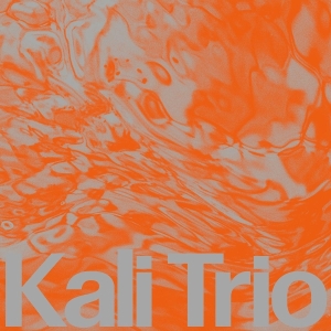 Kali Trio - The Playful Abstract in the group OTHER / Övrigt /  at Bengans Skivbutik AB (5578377)
