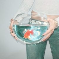 Fish Narc - Frog Song in the group VINYL / Pop-Rock at Bengans Skivbutik AB (5578977)
