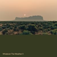 Whatever The Weather - Whatever The Weather Ii (Ltd Dark G in the group VINYL / Dance-Techno at Bengans Skivbutik AB (5578984)