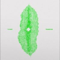 Tv Dust - Transition in the group OUR PICKS / Friday Releases / 2025-03-07 at Bengans Skivbutik AB (5579019)