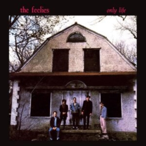 Feelies The - Only Life in the group OUR PICKS / Frontpage - Vinyl New & Forthcoming at Bengans Skivbutik AB (5579030)