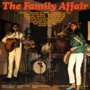 Family Affair The - Family Affair The (Vinyl Lp) in the group OUR PICKS / Frontpage - Vinyl New & Forthcoming at Bengans Skivbutik AB (5580185)