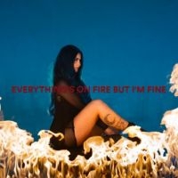 As December Falls - Everything's On Fire But I'm Fine in the group VINYL / Pop-Rock at Bengans Skivbutik AB (5580573)
