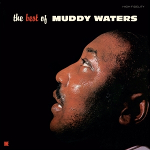 Muddy Waters - The Best Of Muddy Waters in the group VINYL / Jazz at Bengans Skivbutik AB (5582002)