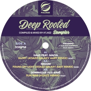 V/A - Deep Rooted (Compiled & Mixed By Atjazz) Vinyl Sampler in the group VINYL / Dance-Techno at Bengans Skivbutik AB (5583069)