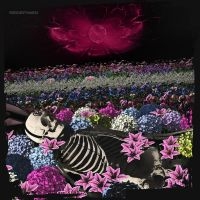 Dead Rabbitts - Redefined in the group OUR PICKS / Friday Releases / 2025-05-02 at Bengans Skivbutik AB (5583132)