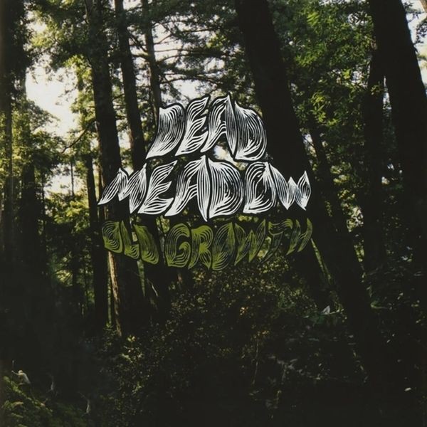 Dead Meadow - Old Growth (2 Lp Vinyl) in the group VINYL / Hårdrock at Bengans Skivbutik AB (5584032)