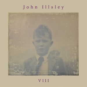 John Illsley - Viii in the group OTHER / Övrigt /  at Bengans Skivbutik AB (5584100)