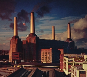 Pink Floyd - Animals in the group OUR PICKS / Most wanted classics on CD at Bengans Skivbutik AB (5584223)