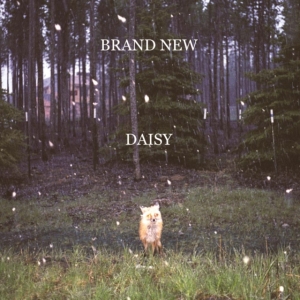 Brand New - Daisy in the group VINYL / Pop-Rock at Bengans Skivbutik AB (5584282)