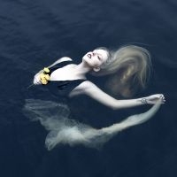 Sylvaine - Silent Chamber, Noisy Heart in the group OUR PICKS / Friday Releases / 2025-03-21 at Bengans Skivbutik AB (5584547)