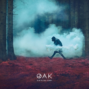 Oak - The Third Sleep in the group CD / Norsk Musik,Pop-Rock at Bengans Skivbutik AB (5584552)