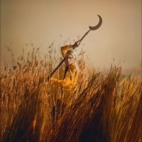 Wolf Patrick - Crying The Neck in the group OUR PICKS / Frontpage - Vinyl New & Forthcoming at Bengans Skivbutik AB (5584566)