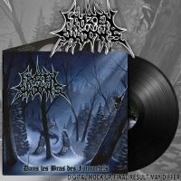 Frozen Shadows - Dans Les Bras Des Immortels (Black in the group OUR PICKS / Friday Releases / 2025-04-11 at Bengans Skivbutik AB (5587429)