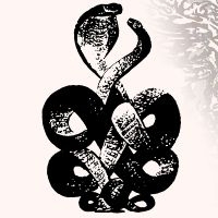 Bardo Pond - Volume 4 & 5 in the group VINYL / Pop-Rock at Bengans Skivbutik AB (5587765)