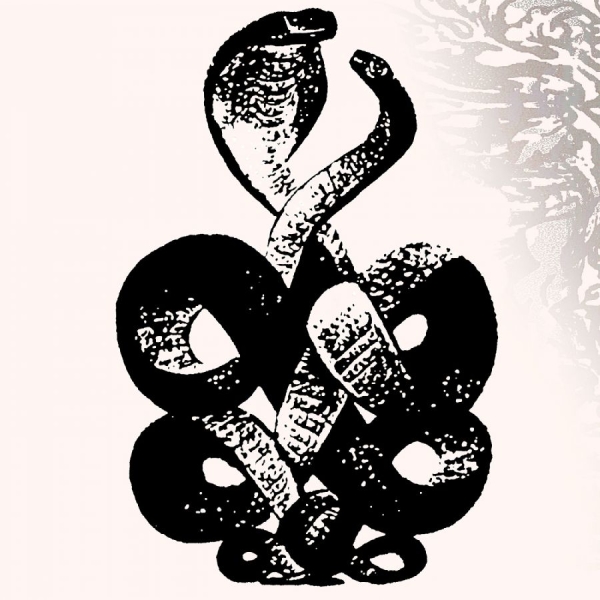 Bardo Pond - Volume 4 & 5 in the group VINYL / Bestsellers at Bengans Skivbutik AB (5587765)