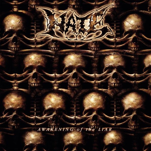 Hate - Awakening Of The Liar in the group VINYL / Hårdrock at Bengans Skivbutik AB (5587777)